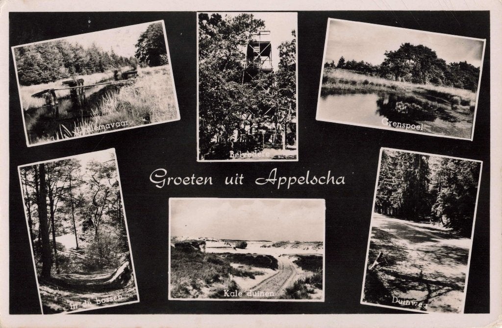 Appelscha Kale Duinen Grenspoel Lyclemavaart L3074, Ophalen, 1940 tot 1960, Gelopen, Friesland