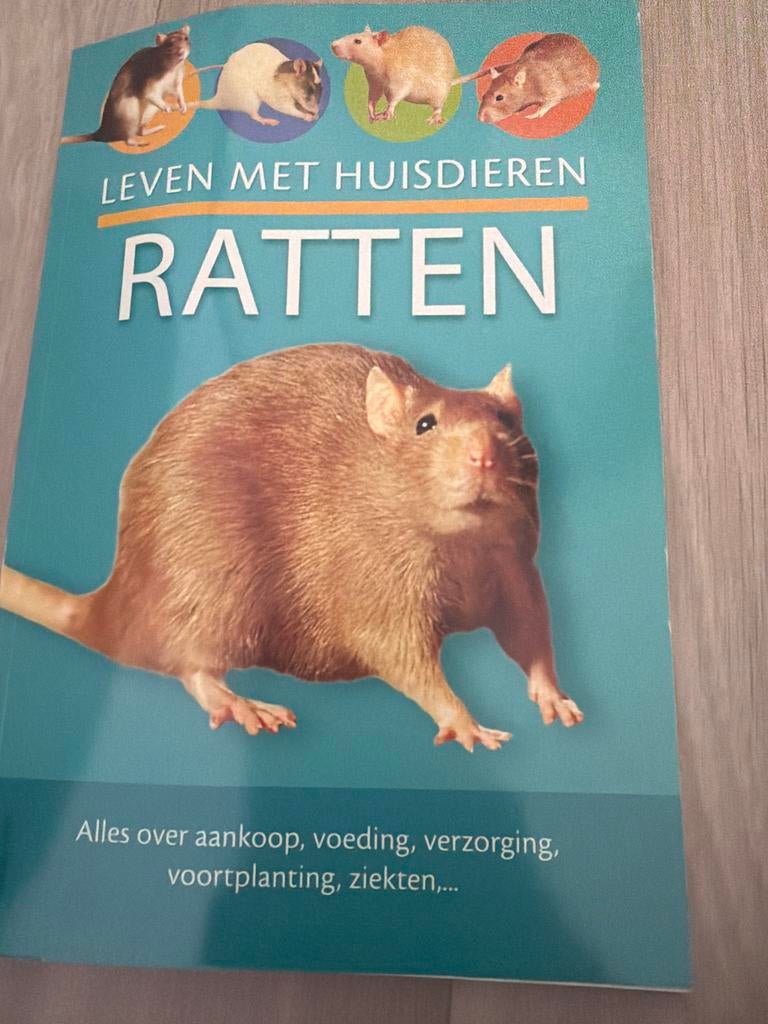 Leven met Huisdieren: Ratten - Alles over verzorging, Ophalen of Verzenden, Zo goed als nieuw, Konijnen of Knaagdieren