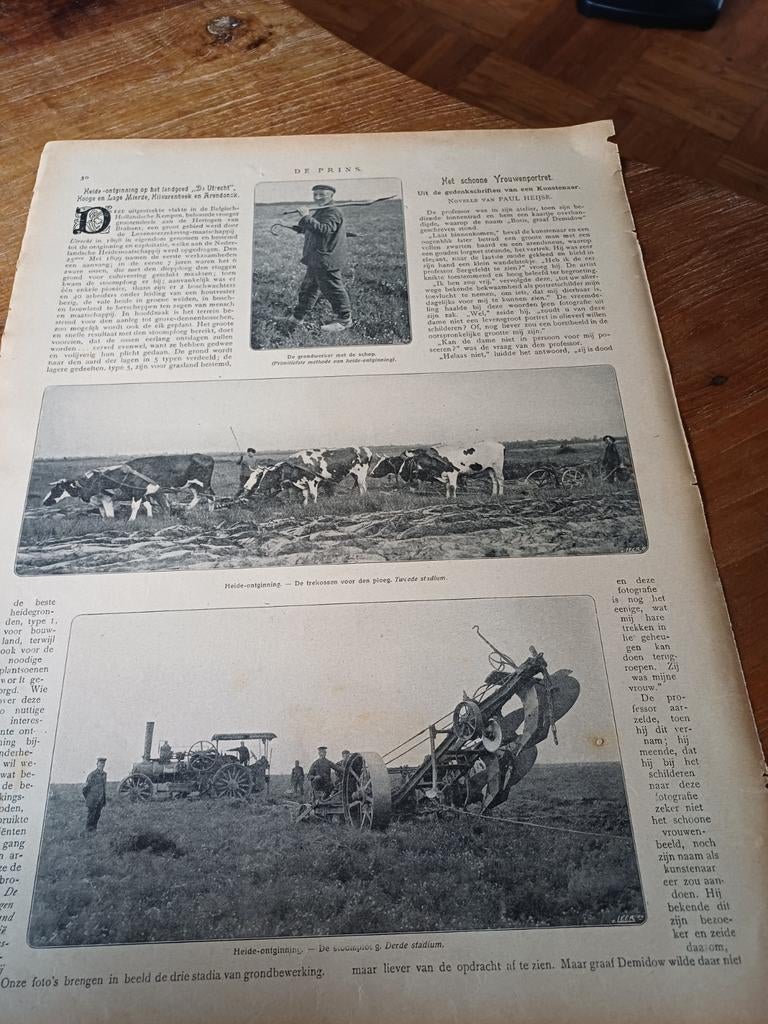 Artikel heide ontginning landgoed De Utrecht  1909, Ophalen of Verzenden, Voor 1920, Knipsel(s)