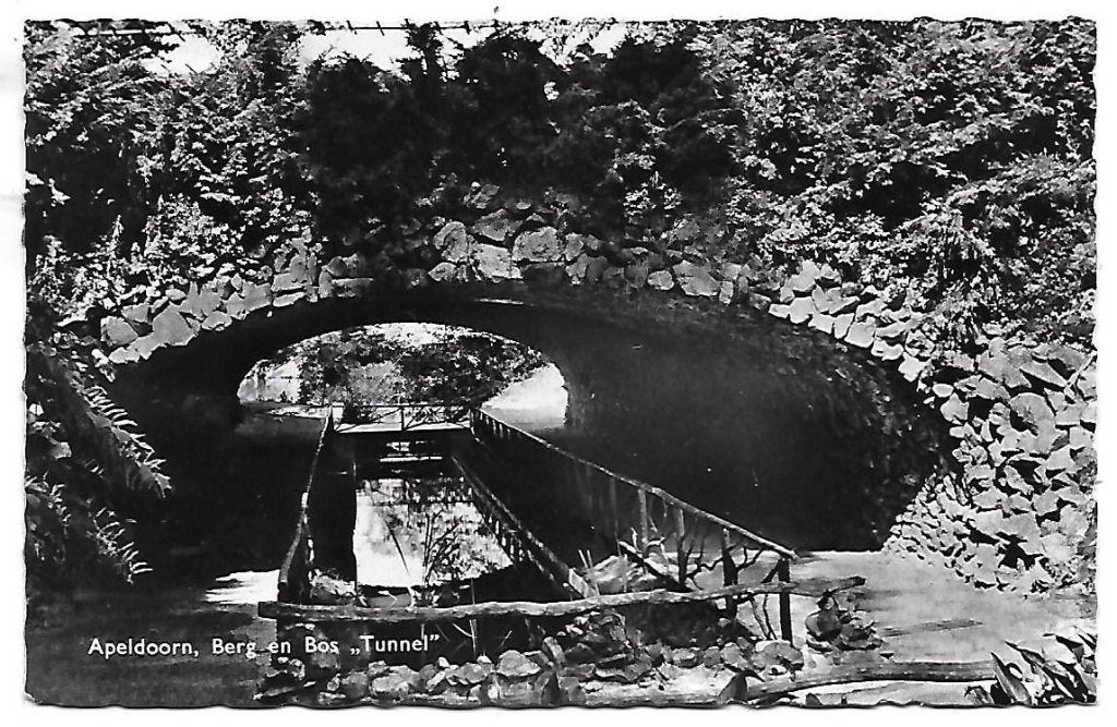 Apeldoorn Berg En Bos Ansichtkaart uit 1959 ( A2247 ), Ophalen of Verzenden, Voor 1920, Gelopen, Gelderland