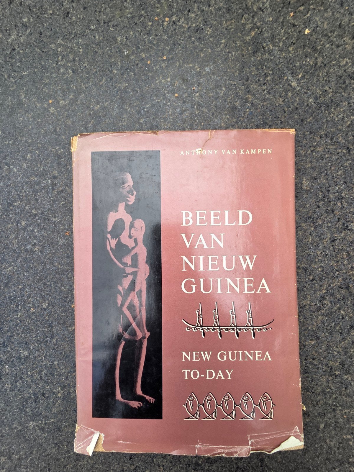 Beeld van Nieuw Guinea - New Guinea To-Day (1962), Ophalen of Verzenden, Gelezen, Antony van Kampen, Nederland