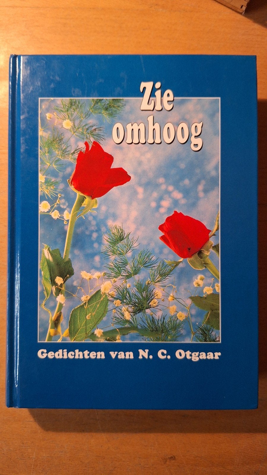 Zie omhoog - Gedichten, Ophalen of Verzenden, Zo goed als nieuw, N. C. Otgaar, Eén auteur