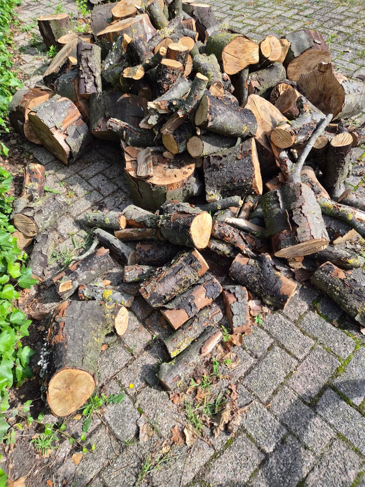 Haardhout beuken ca. 1,5-2 m³, Minder dan 3 m³, Ophalen, Beukenhout, Blokken
