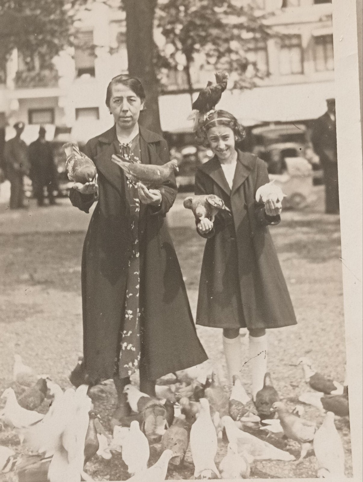 Maastricht fotokaart 1936 duiven voeren, Ophalen of Verzenden, Voor 1940, Gebruikt