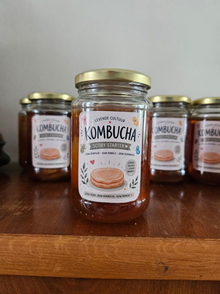 Kombucha Scoby starter, Diversen, Levensmiddelen, Ophalen