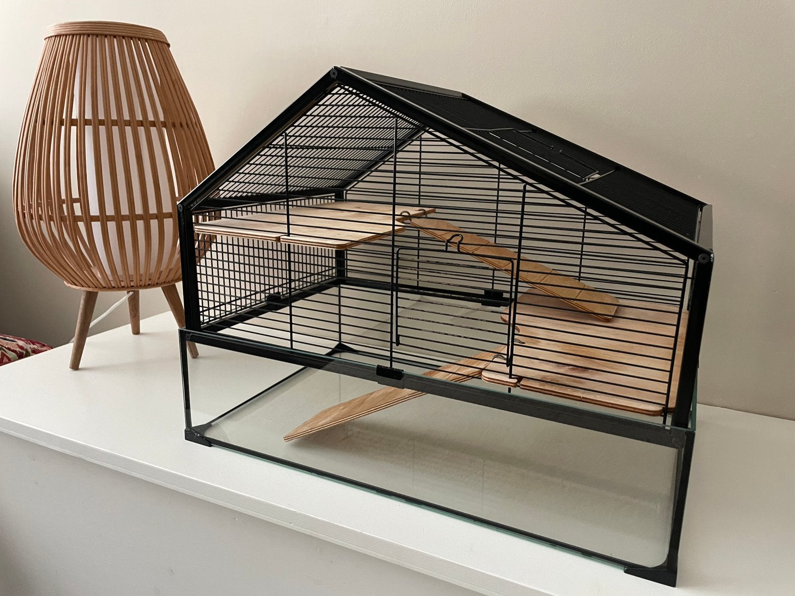 Glazen hamsterkooi met toebehoren, Kooi, Minder dan 75 cm, Zo goed als nieuw, Ophalen