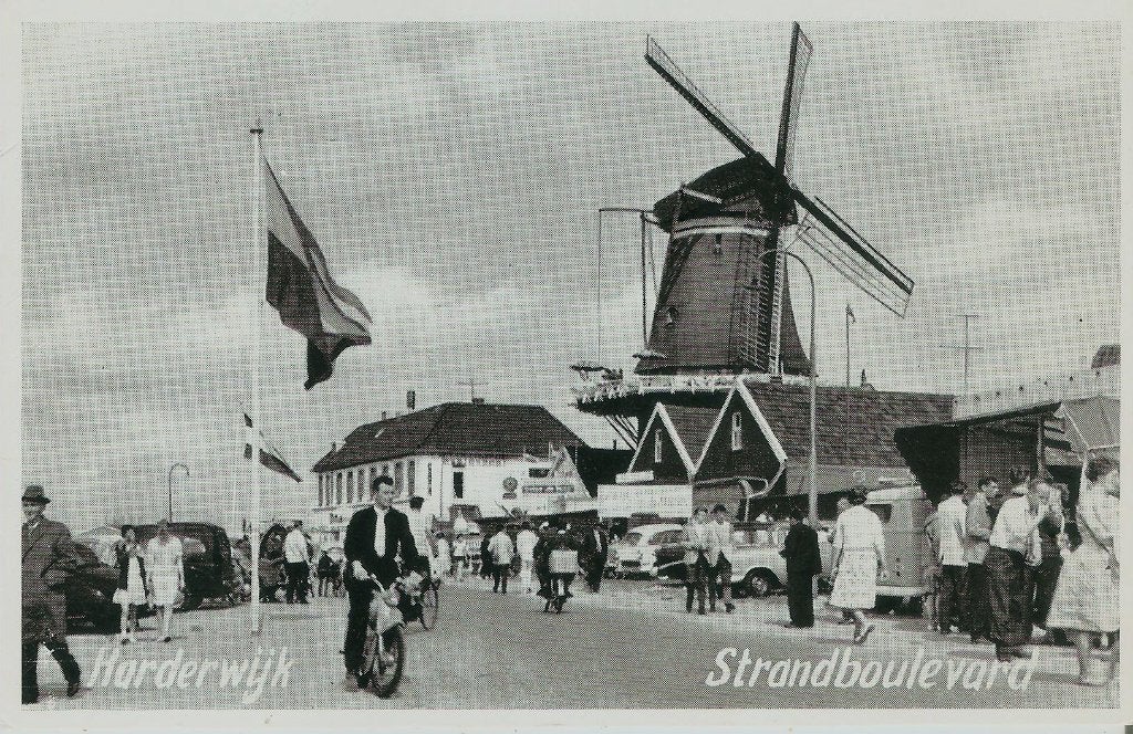 Harderwijk Strandboulevard molen brommer ca. 1960, Ophalen of Verzenden, 1960 tot 1980, Ongelopen, Gelderland