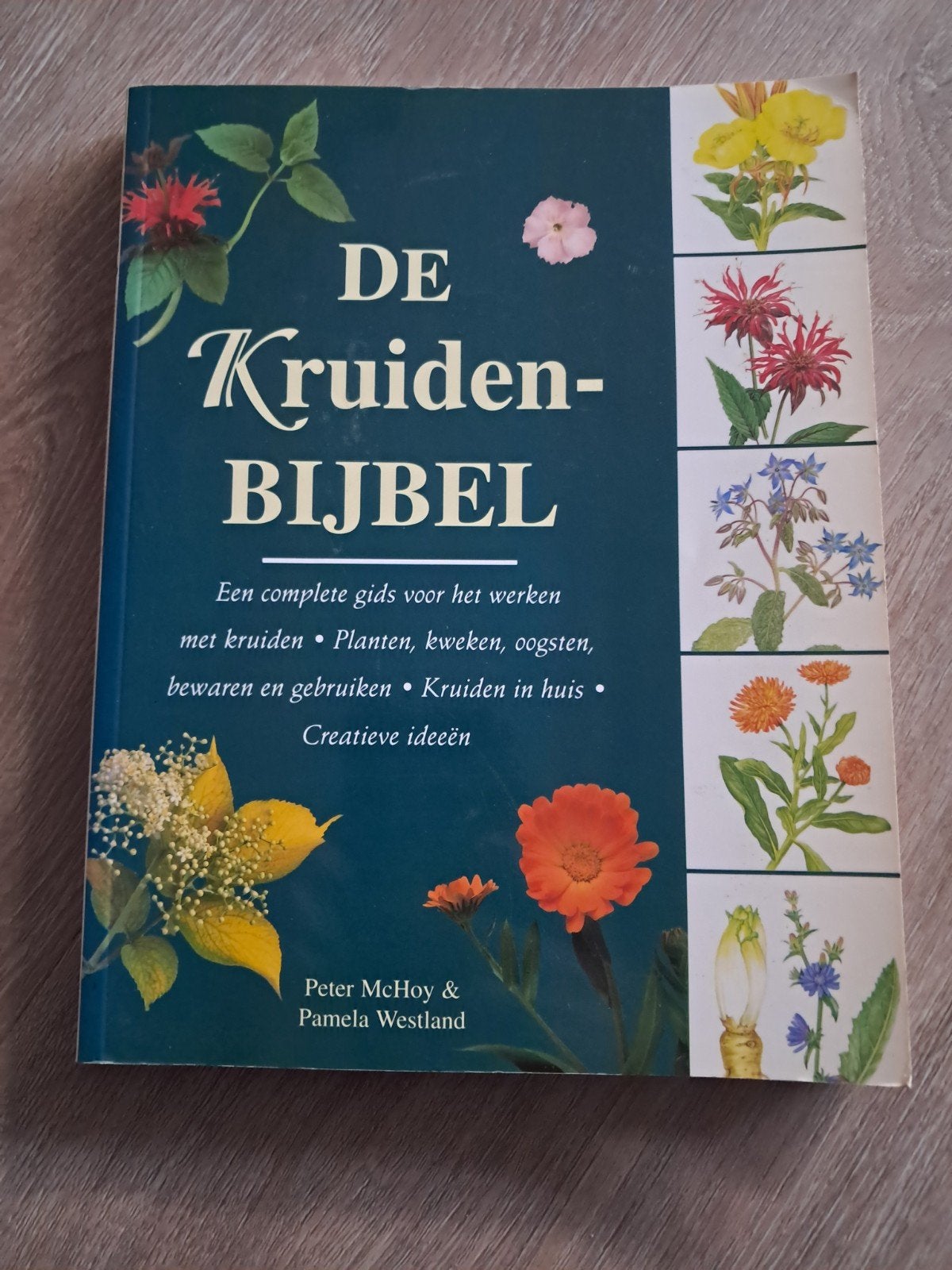 De Kruidenbijbel: Complete gids voor kruiden, Ophalen of Verzenden, Gelezen, Peter McHoy & Pamela Westland
