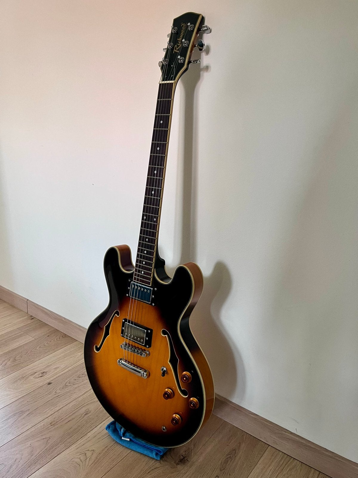 Richwood RE 400 Artist Series Semi-Hollow Body Gitaar, Ophalen, Gebruikt, Semi-solid body, Overige merken