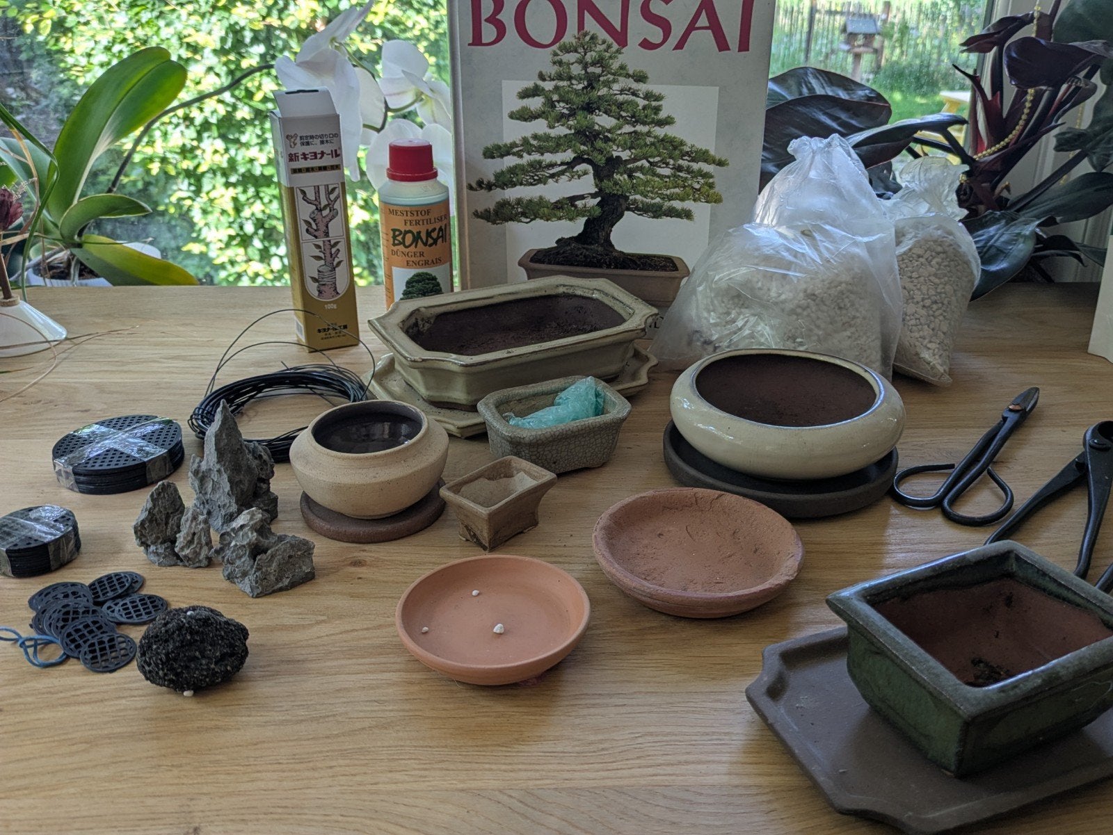 Bonsai starterspakket - Alles voor je nieuwe hobby!, Ophalen of Verzenden