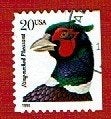 Fauna - Dieren - Fazant - U.S.A. 20c - rechts ongetand, Verzenden, Gestempeld, Dier of Natuur