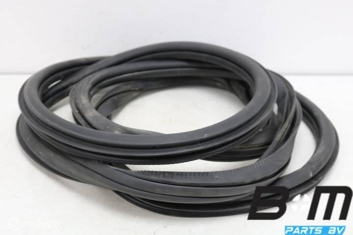 Portierrubber rechts VW Polo 6R 6R3867912B, Gebruikt