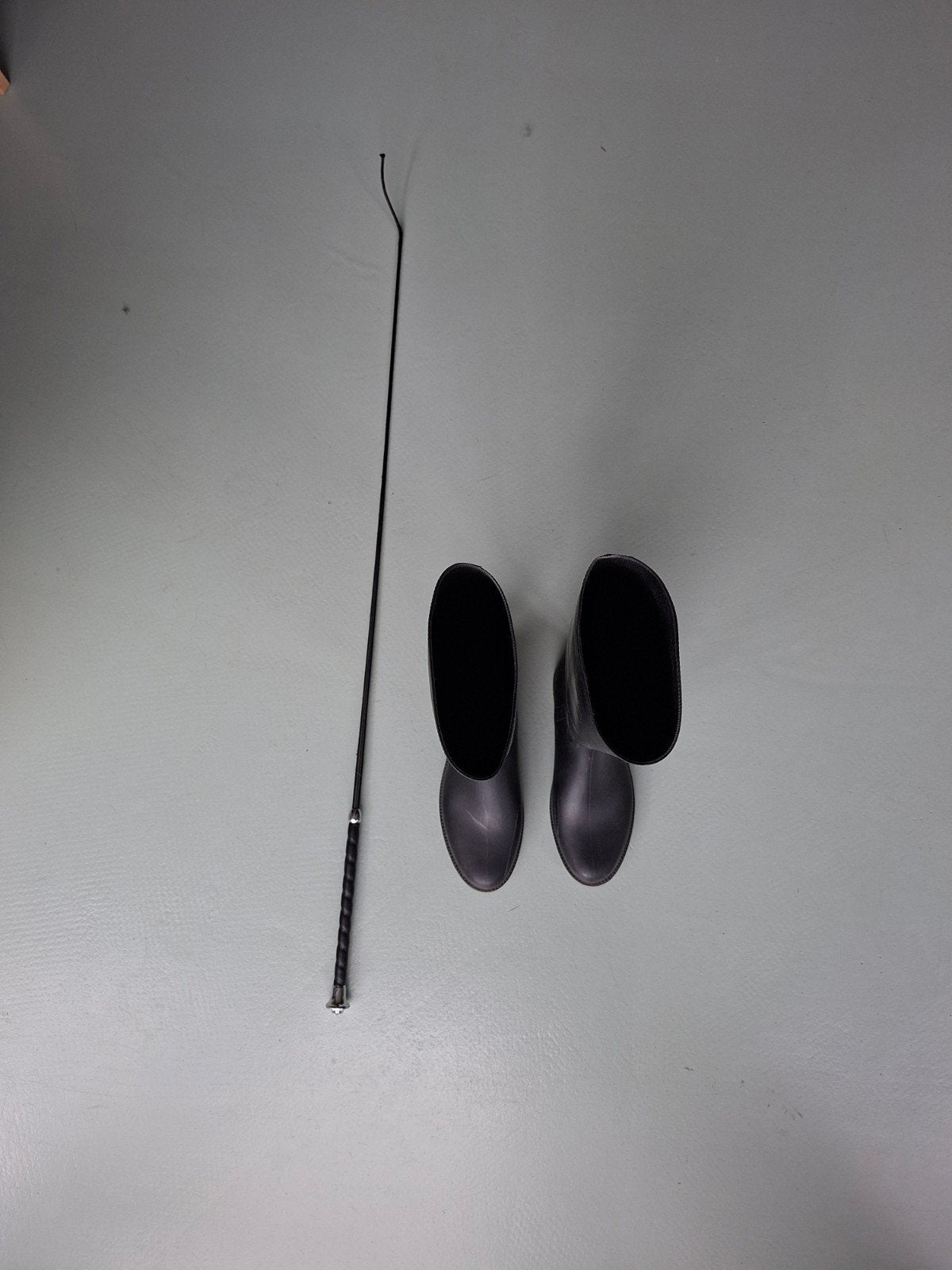 Laarzen en zweepje voor paardrijden, Dieren en Toebehoren, Paardrijkleding, Ophalen, Gebruikt, Dressuur, Schoeisel