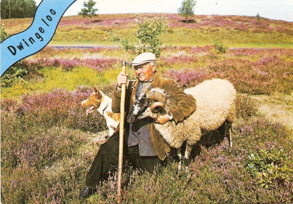 Dwingeloo          655, Ophalen of Verzenden, Voor 1920