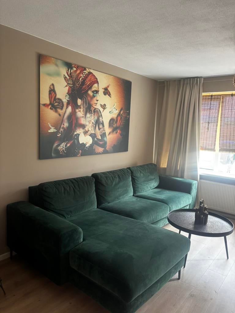Schilderij, Ophalen of Verzenden, Zo goed als nieuw