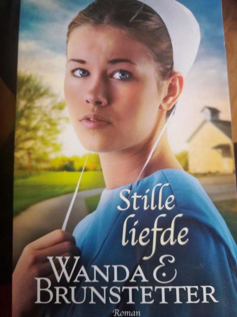 Wanda E. Brunstetter - Krachtig gebed, Ophalen of Verzenden, Zo goed als nieuw, Wanda E. Brunstetter