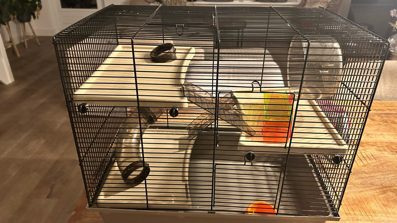Hamsterkooi zgan, Dieren en Toebehoren, Ophalen, Zo goed als nieuw, Loopwiel of Rad
