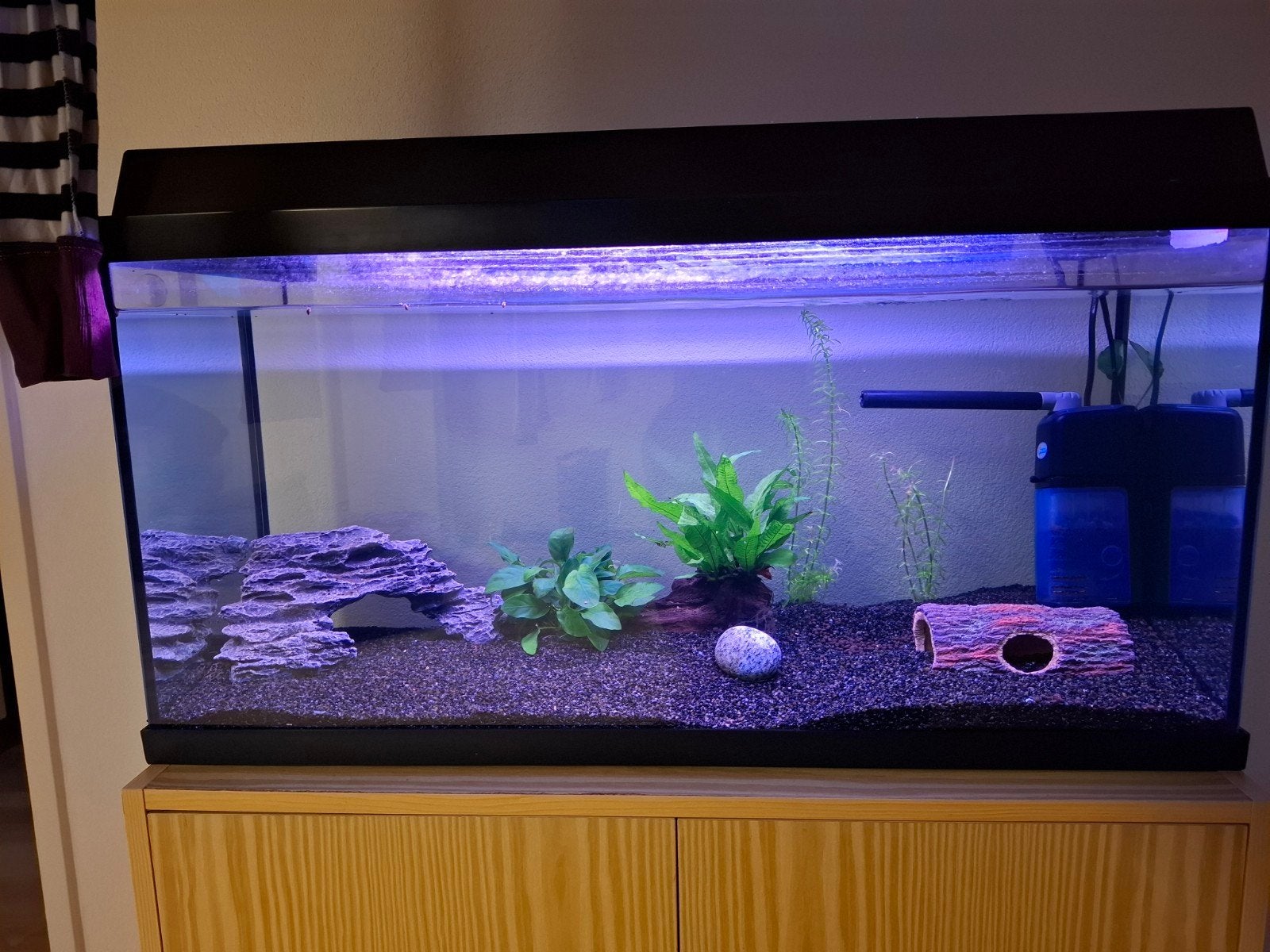 Aquarium, Ophalen, Gebruikt, Leeg aquarium
