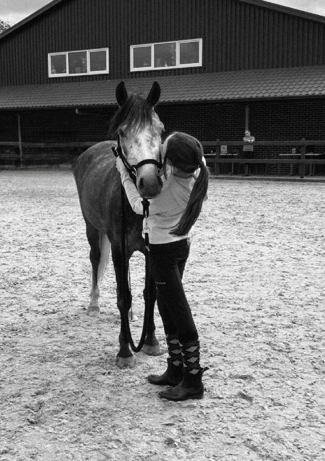 Verzorg pony/paard gezocht!, Ophalen of Verzenden, Nieuw