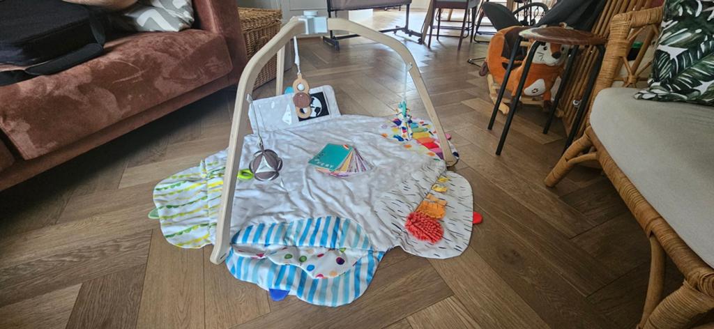 Lovevery Play Gym - Complete Baby Speelgym, Kinderen en Baby's, Speelgoed | Babyspeelgoed, Ophalen, Zo goed als nieuw, Babygym