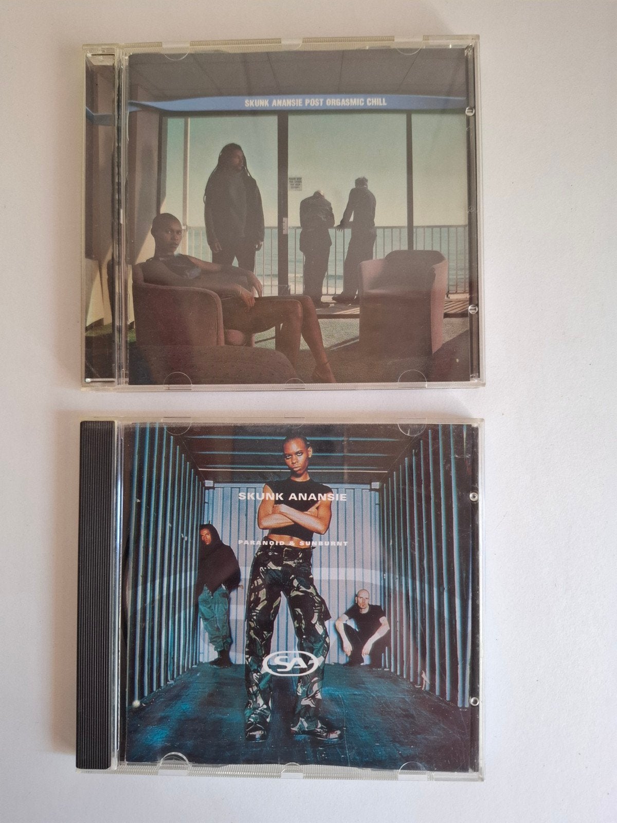Skunk Anansie CD's, Rock, Gebruikt, Ophalen of Verzenden, Inclusief doosje