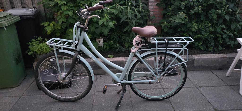 Spirit E-Cargo N3 | Elektrische fiets | Accu defect, Fietsen en Brommers, Ophalen, Gebruikt, Minder dan 30 km per accu, Overige merken