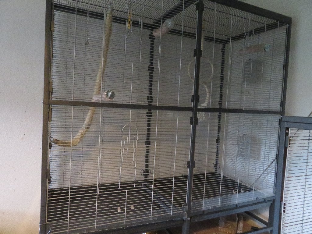 Grote Paradiso Montana kooi, Dieren en Toebehoren, Ophalen of Verzenden, Zo goed als nieuw, Metaal, Vogelkooi