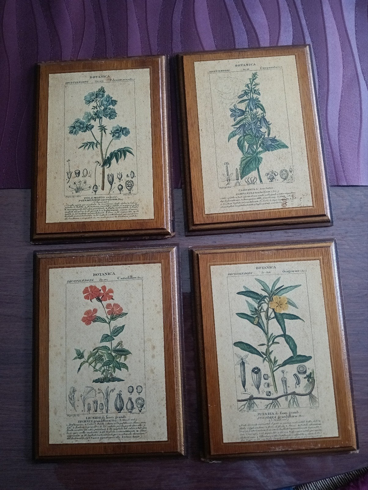 Set van 4 Botanische Prints op hout, Ophalen of Verzenden, Print, Prent, Ingelijst
