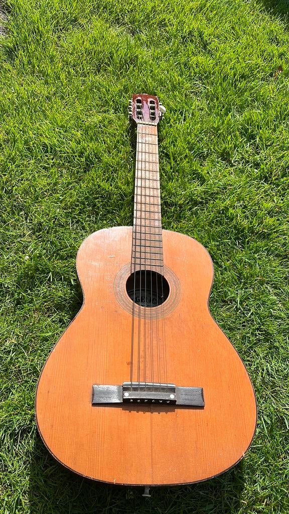 Gitaar angelica, Ophalen of Verzenden, Zo goed als nieuw, Overige typen