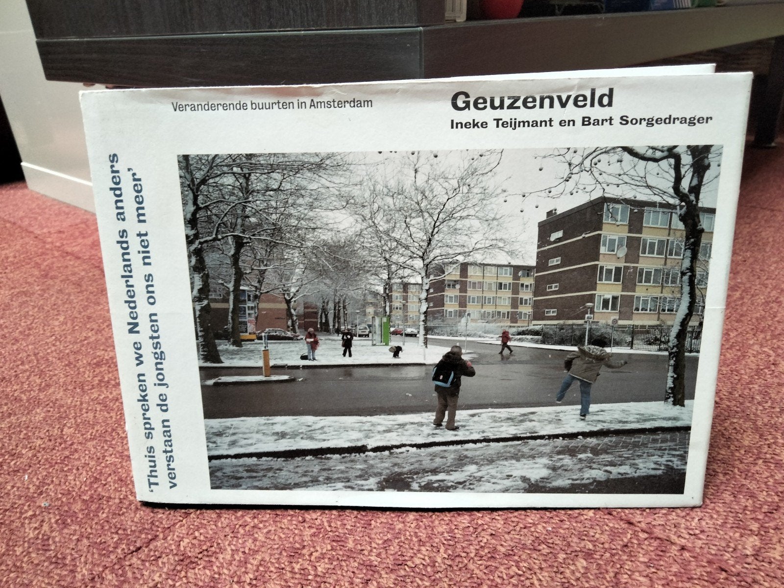 Ineke Teijmant - Geuzenveld, Boeken, Gelezen, Architecten, Ophalen of Verzenden, Ineke Teijmant