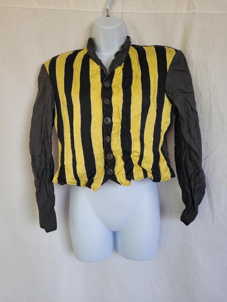 Leuk carnavals bovendeel zwart-geel gestreept mt S, Carnaval, ., Ophalen of Verzenden, Maat 36 (S)
