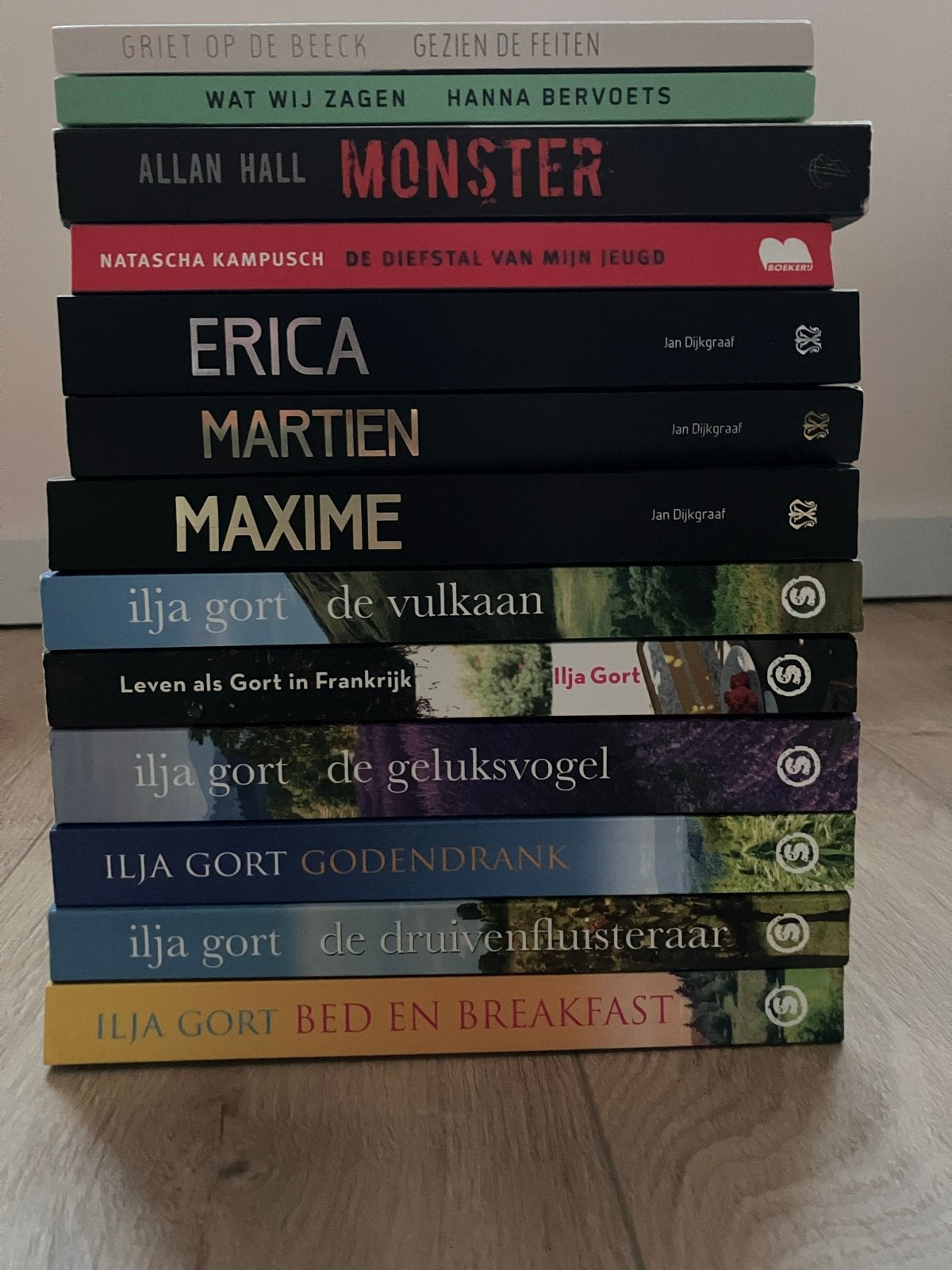 Diverse boeken oa Ilja Gort en de familie Meiland, Ophalen of Verzenden, Gelezen, Nederland