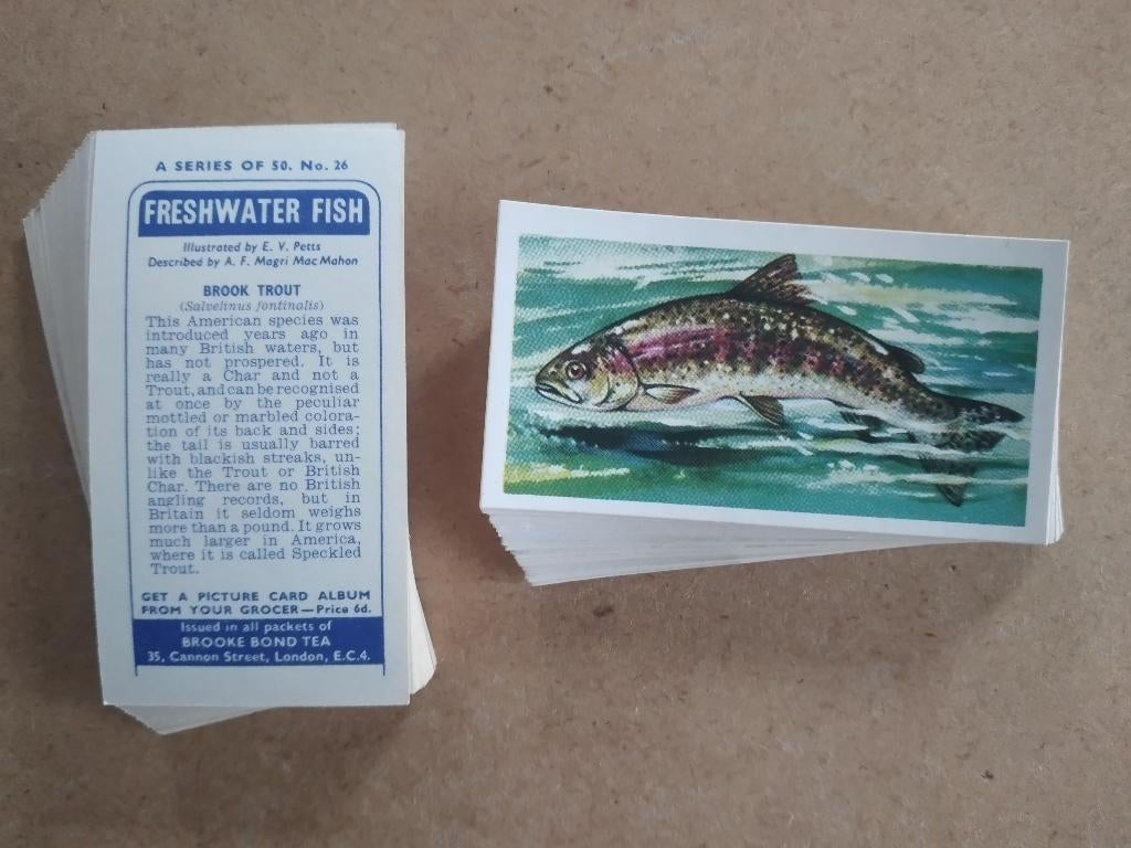 Freshwater Fish complete set 50 tea cards vissen 1960, Ophalen, Gebruikt