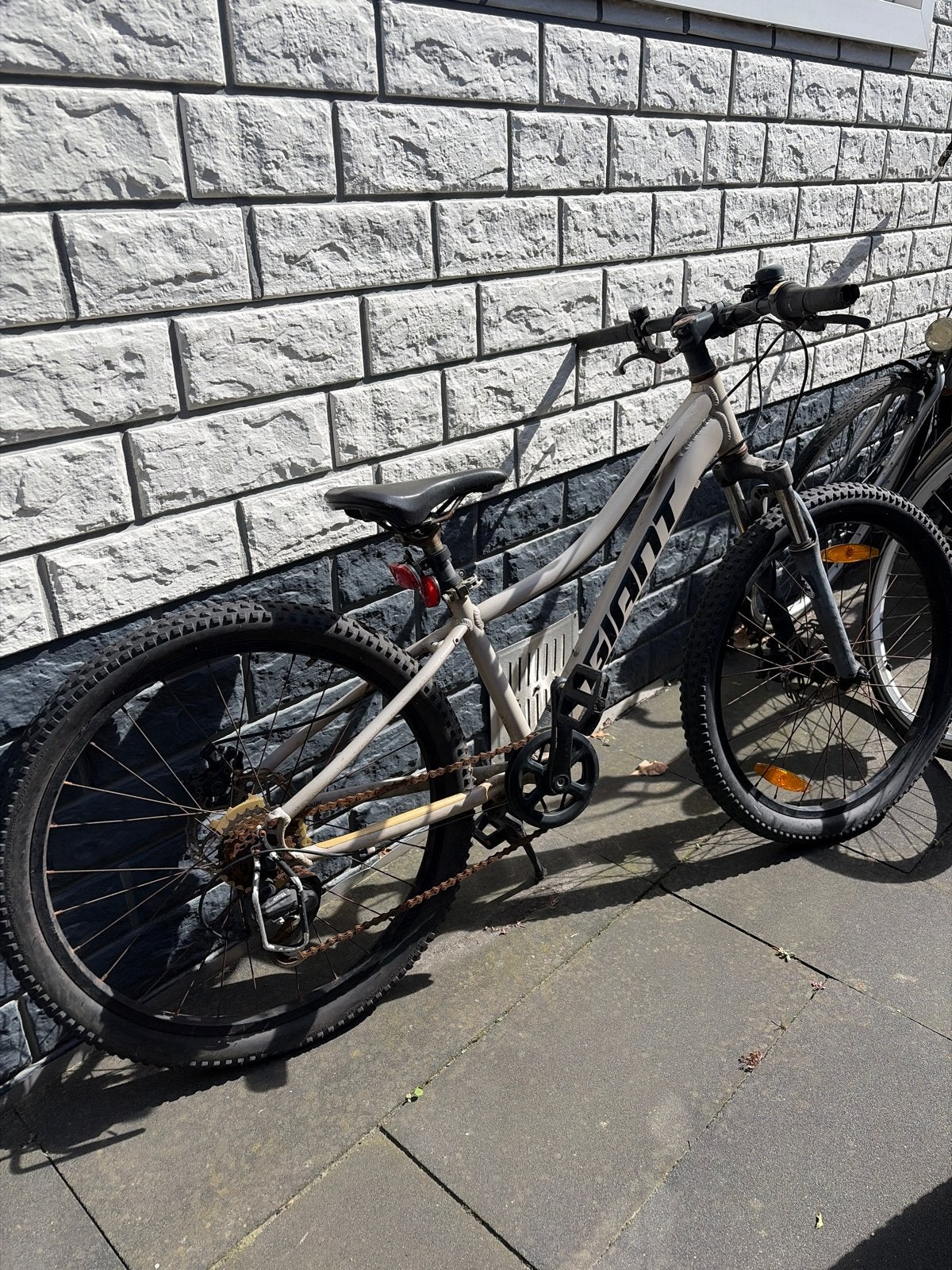 Fiets giant, Ophalen of Verzenden