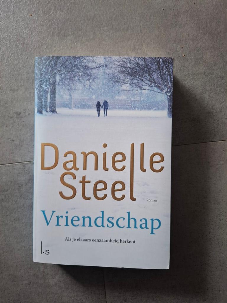 Danielle Steel - Vriendschap, Ophalen of Verzenden, Zo goed als nieuw, Danielle Steel
