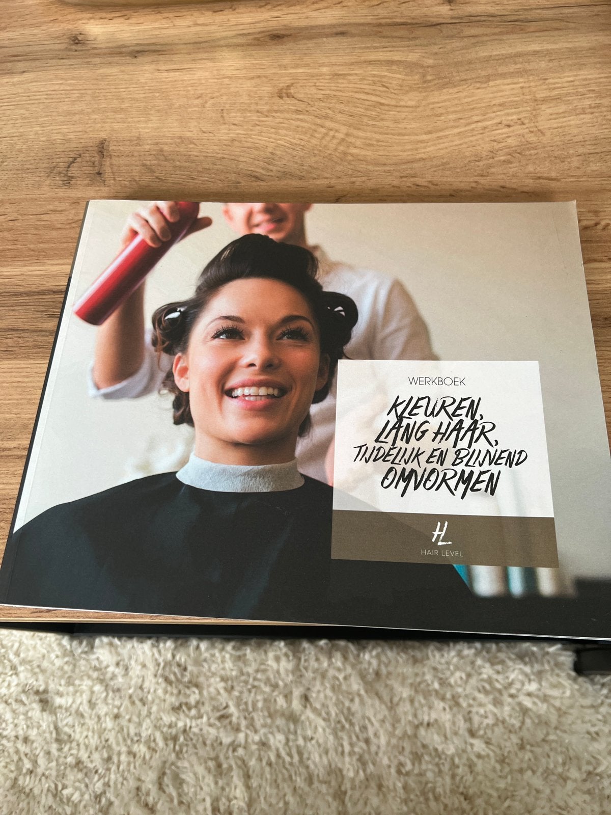 Werkboek Hair Level: Kleuren, Lang Haar, Tijdelijk Omvormen, Ophalen of Verzenden, Zo goed als nieuw, Overige typen