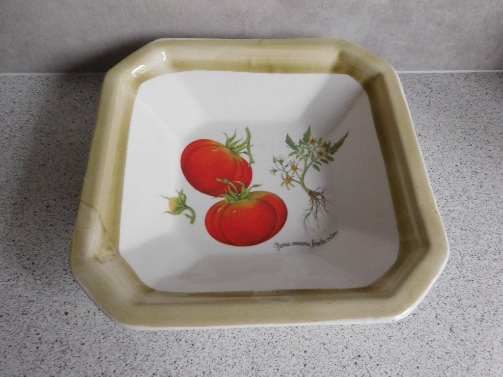 Schaal 21x5 cm. Pomodori 🍅 Tomaat Made in Italy, Ophalen of Verzenden