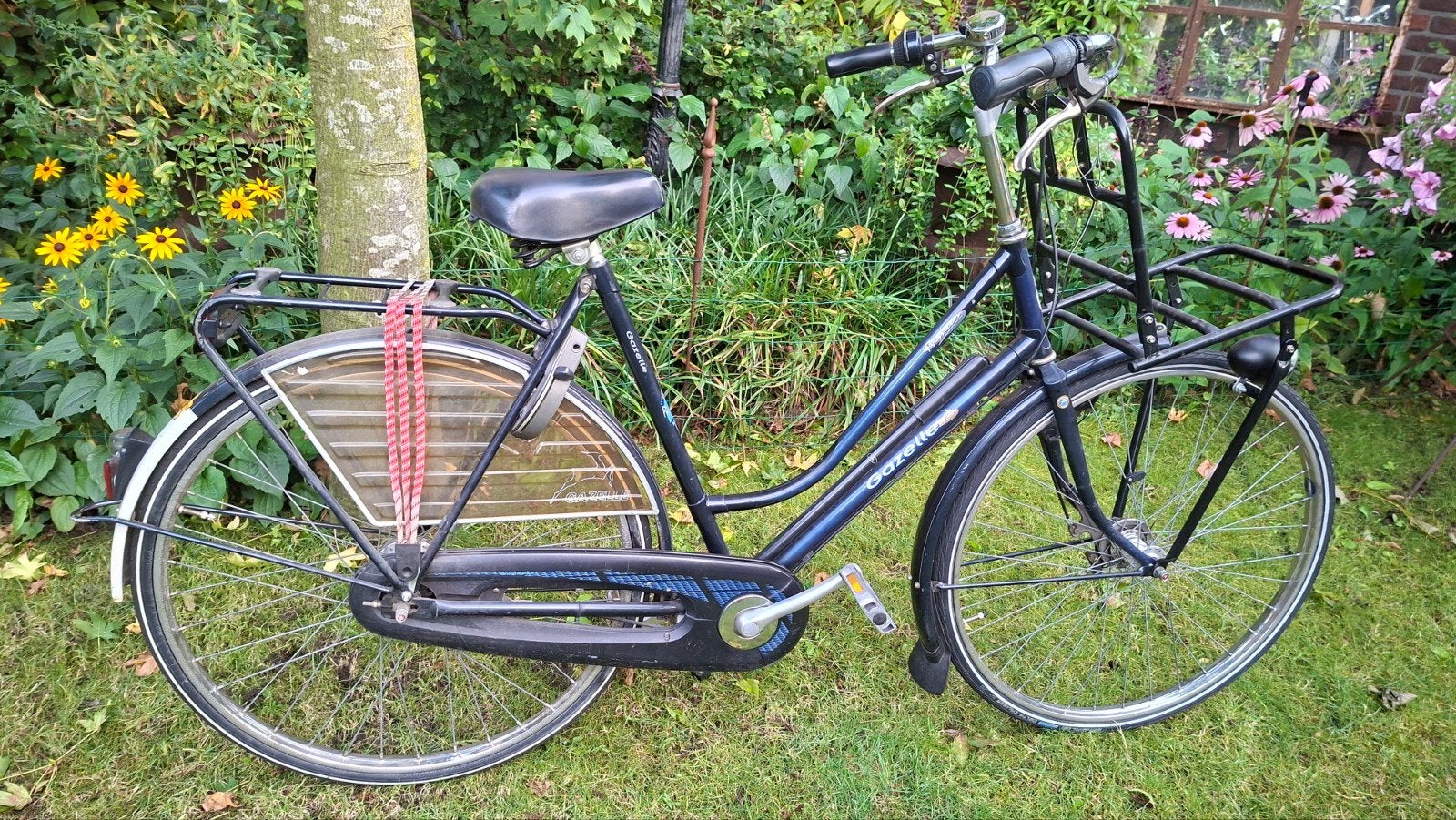 gazelle primeur damesfiets, Ophalen, Gebruikt, Versnellingen, 56 cm of meer