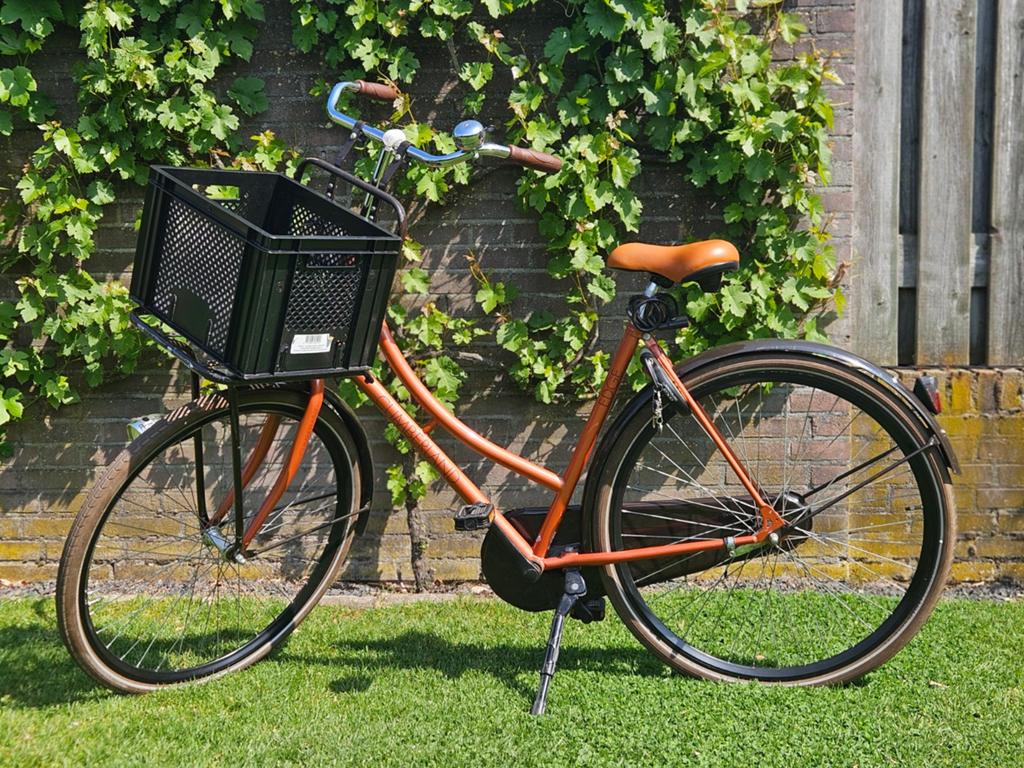 Damesfiets Cumberland Edge - Gebruikt, maar rijdt nog goed, Velgrem, Ophalen, Overige merken, 53 tot 56 cm