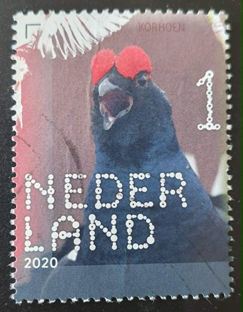 176-26 Nederland 2020 / Korhoen, Verzenden, Na 1940, Gestempeld
