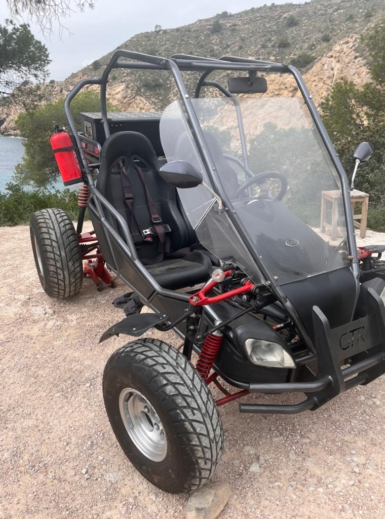 Carter 250 cc Interceptor Buggy - Klaar voor avontuur!, Motoren, Quads en Trikes, Ophalen