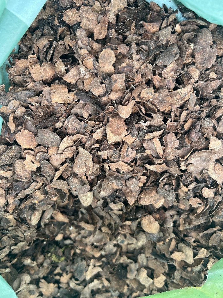 3 kilo boomschors fijne snippers blaadjes achtig soort, Ophalen of Verzenden, Nieuw, Tak, Plant, Rots of Steen