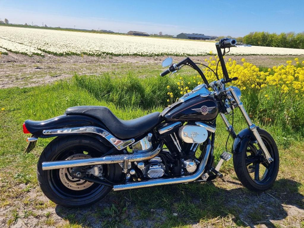 Te Koop Harley Davidson Fatboy EVO 1998 verbouwd