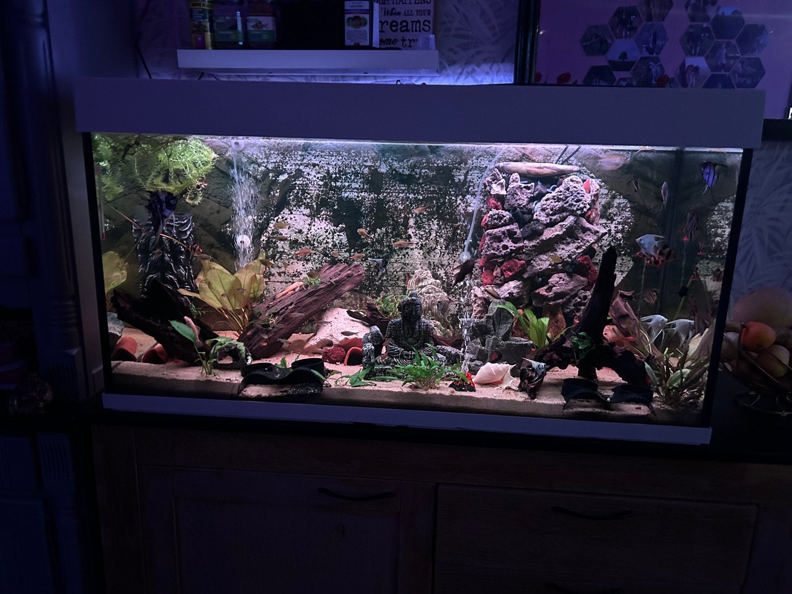 Leeg aquarium 120 cm breed, Ophalen, Overige merken, Zo goed als nieuw, Inclusief deksel