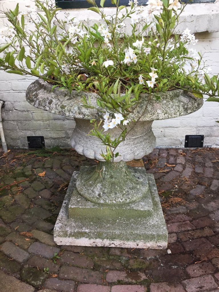 oude betonnen tuinvaas op sokkel 60 cm hoog, Tuin en Terras, Ophalen, Gebruikt