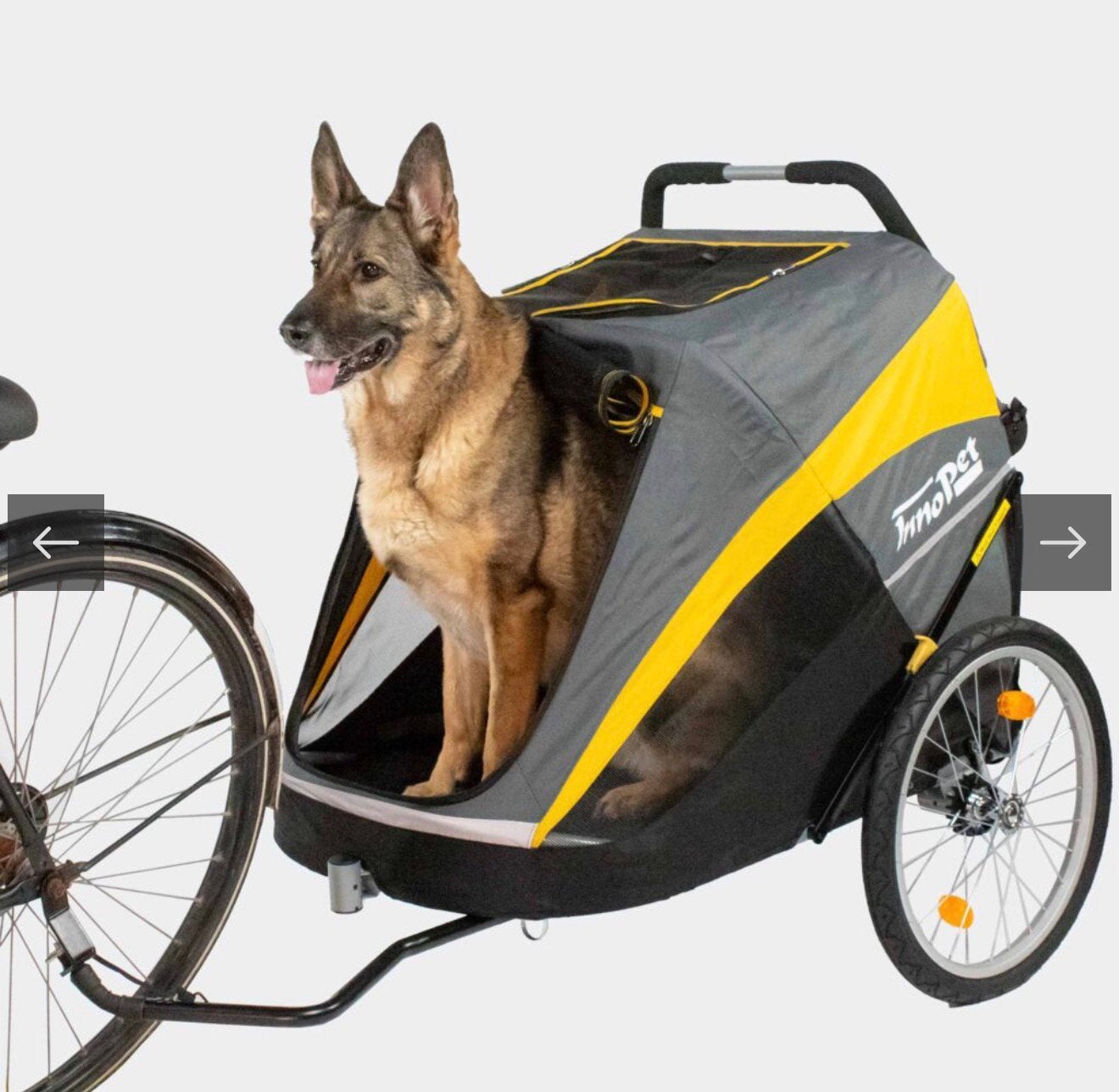 Neem in de herfstvakantie de hond mee en huur een buggy, Dieren en Toebehoren, Ophalen, Zo goed als nieuw