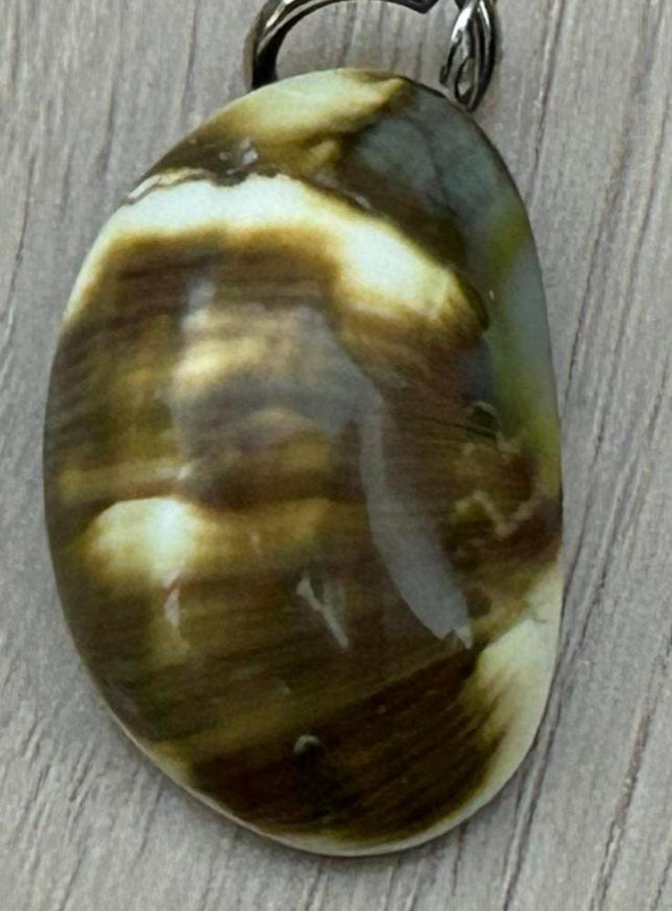 Mooie steenachtige slakkenhuis kettinghanger, Overige voorstellingen, Bruin, Nieuw, Ophalen of Verzenden