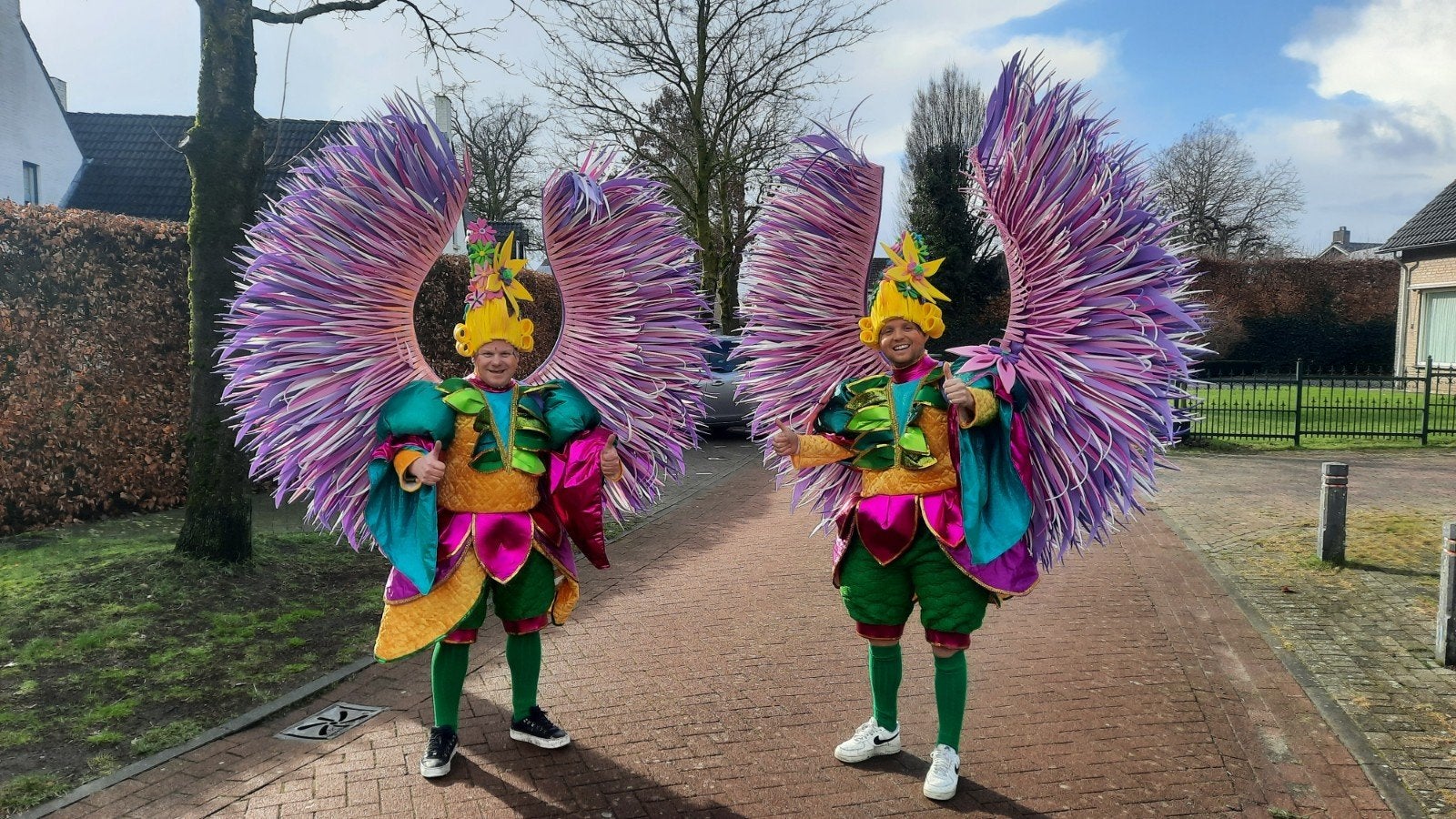 Loopgroep carnaval foam vleugels straattheater, Ophalen