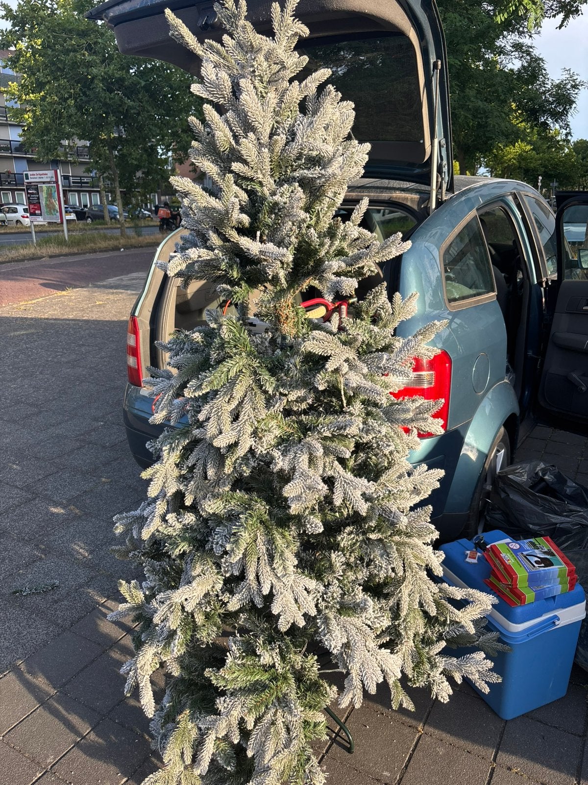 Kerstboom, Tuin en Terras, Planten | Bomen, Ophalen, Volle zon, Overige soorten, 100 tot 250 cm