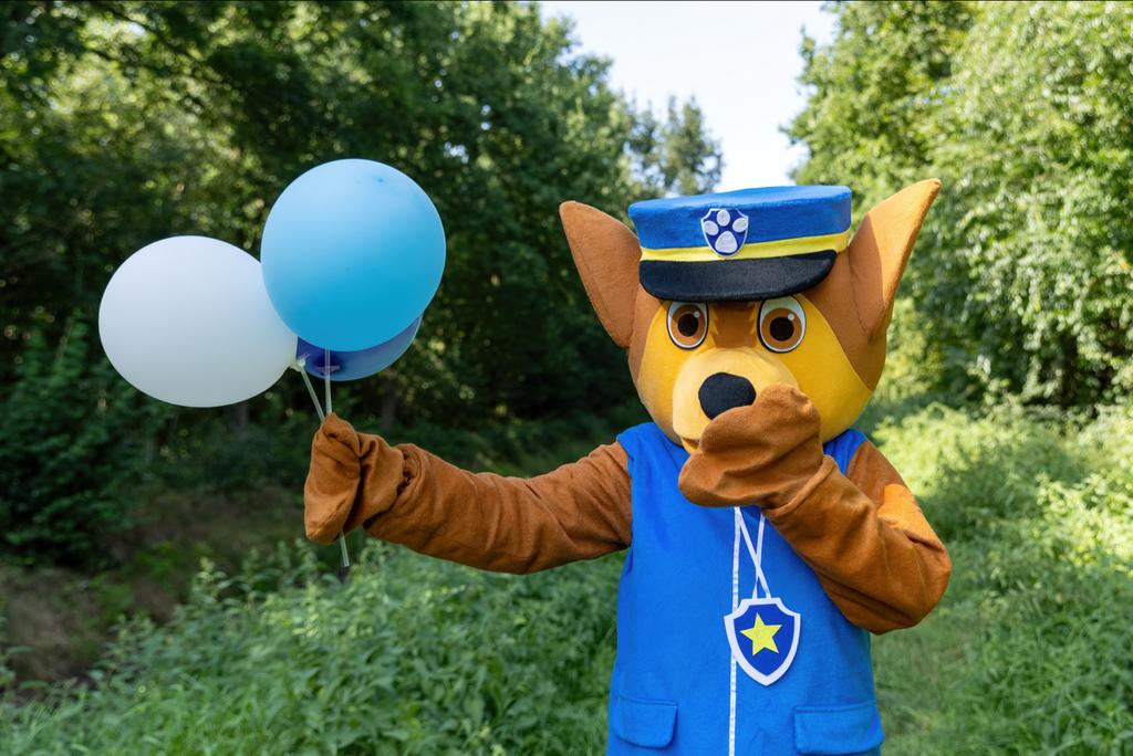 Paw Patrol mascottes te huur!, Ophalen of Verzenden, Zo goed als nieuw, Abraham of Sarah